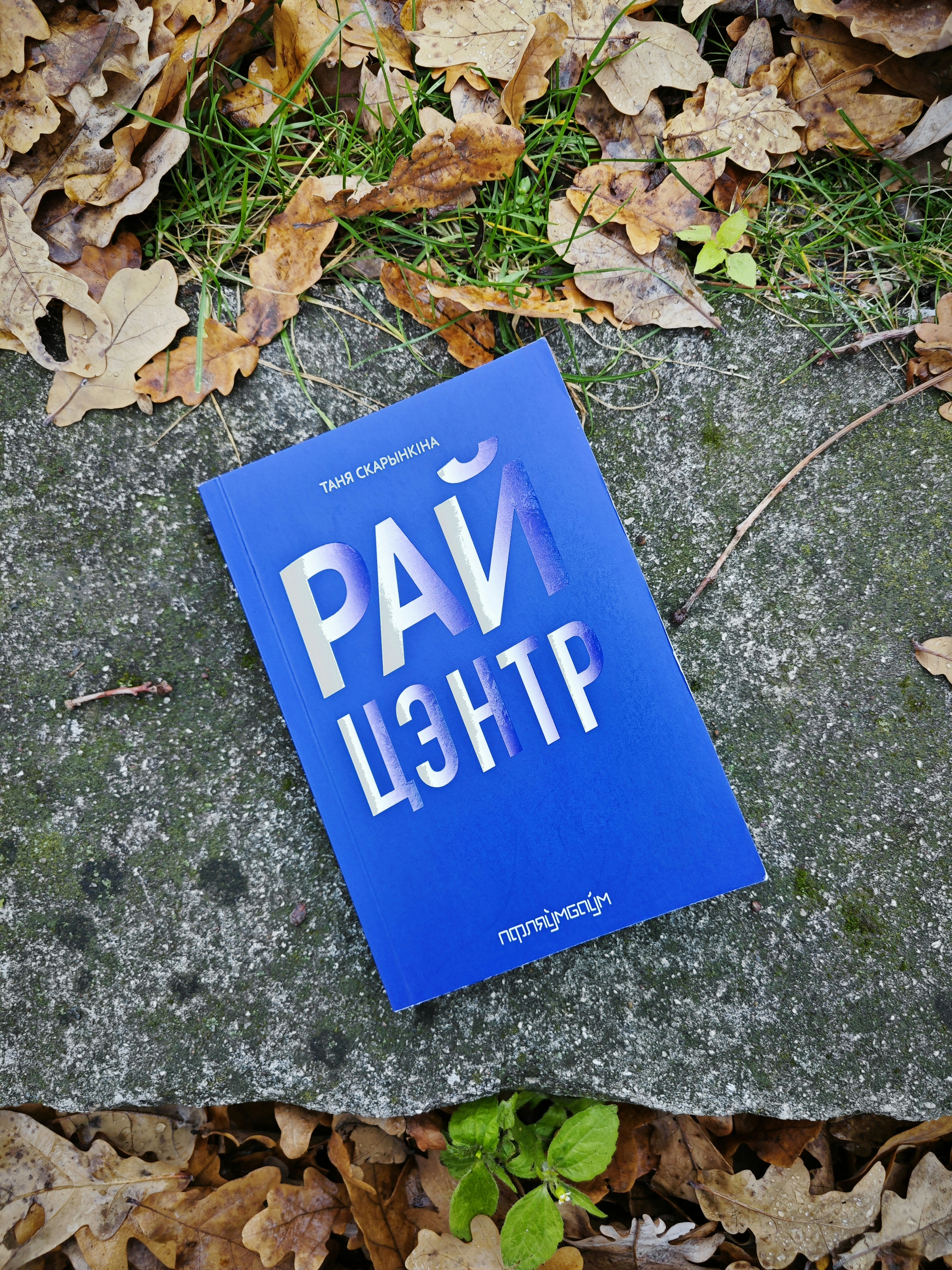 Книга "Райцэнтр"